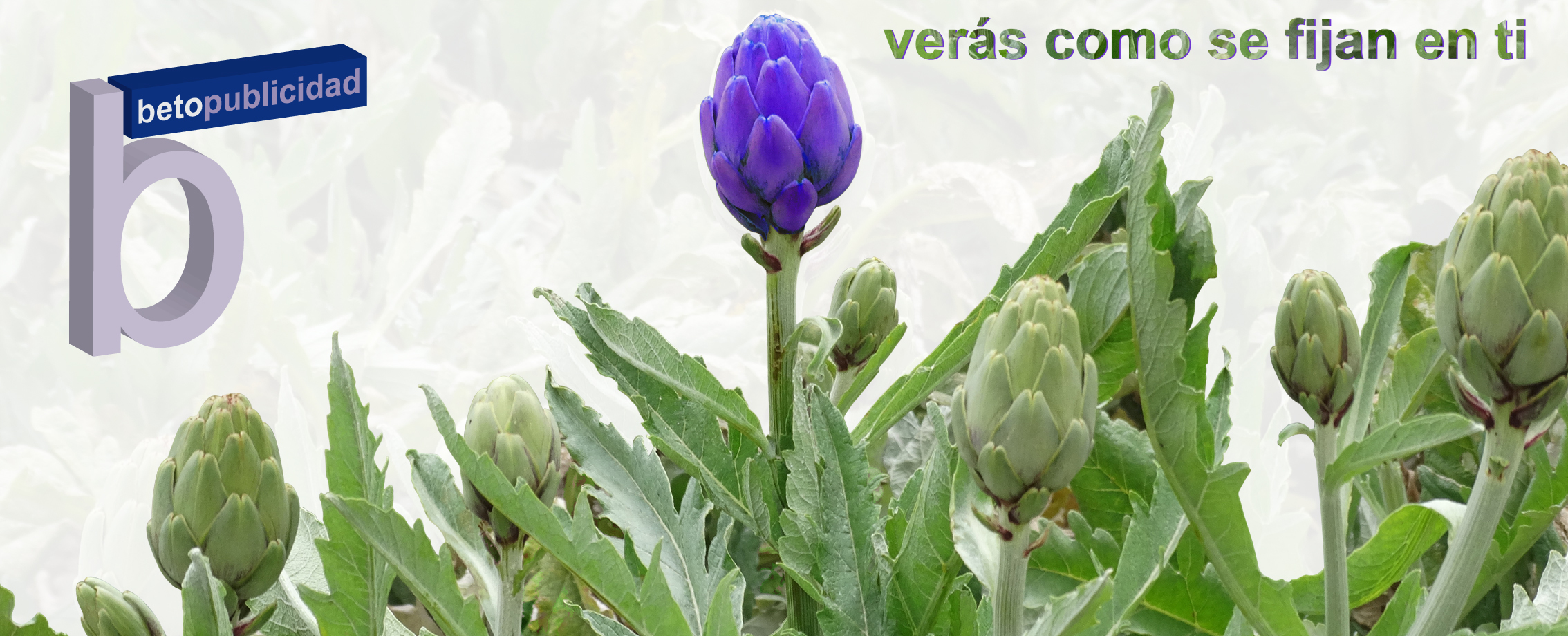 agencia publicidad,imprenta,vallas publicitarias,rótulos,montajes,regalos,... betopublicidad